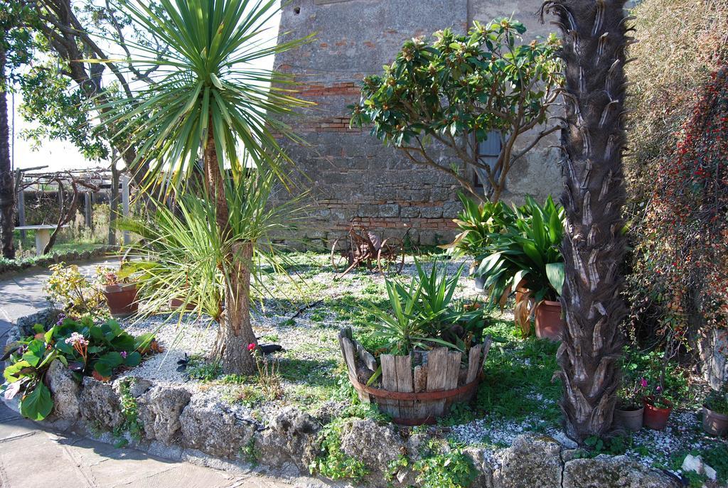 La Mattonara Viterbo