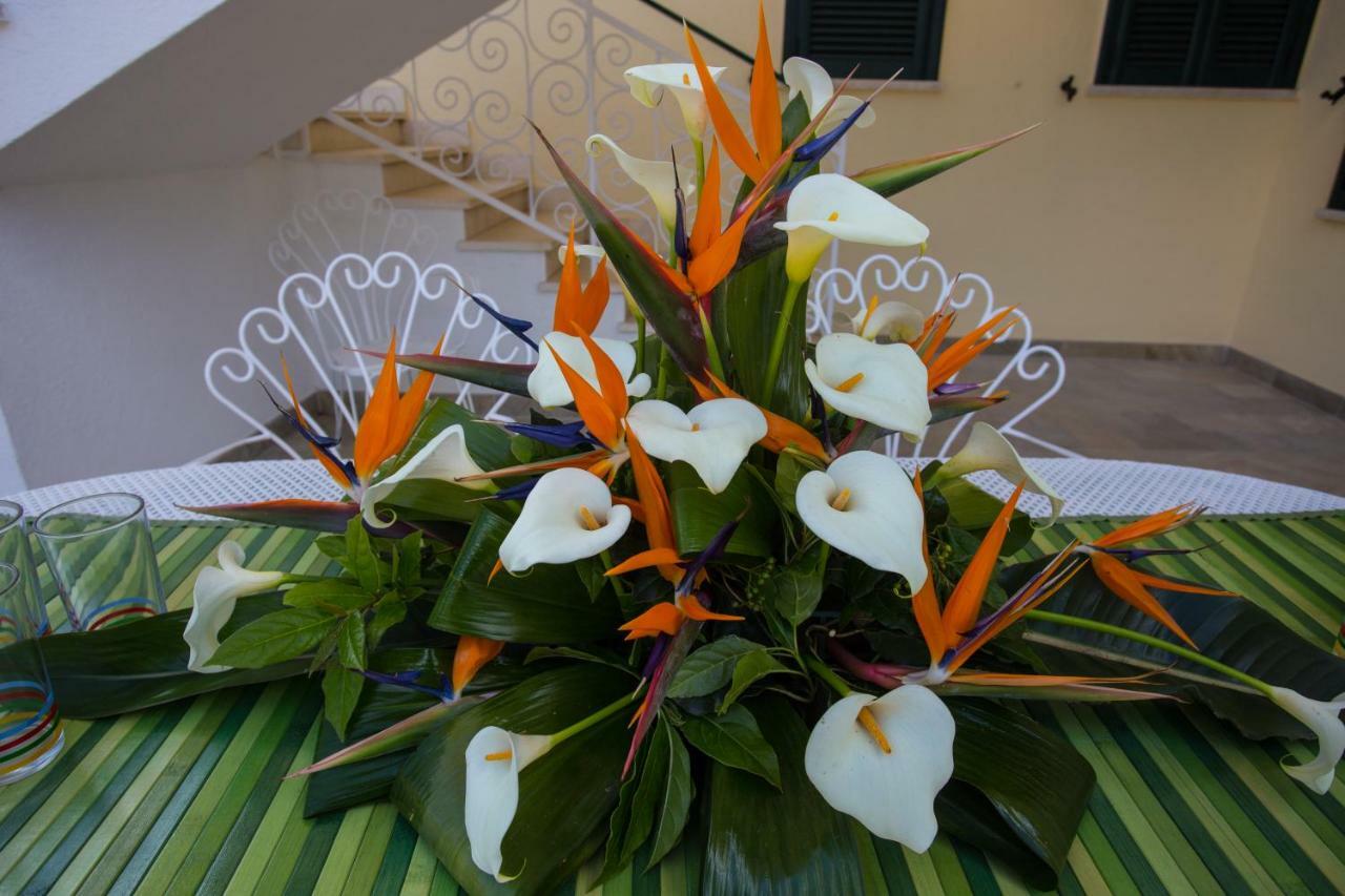 Holiday home La Mattonara *